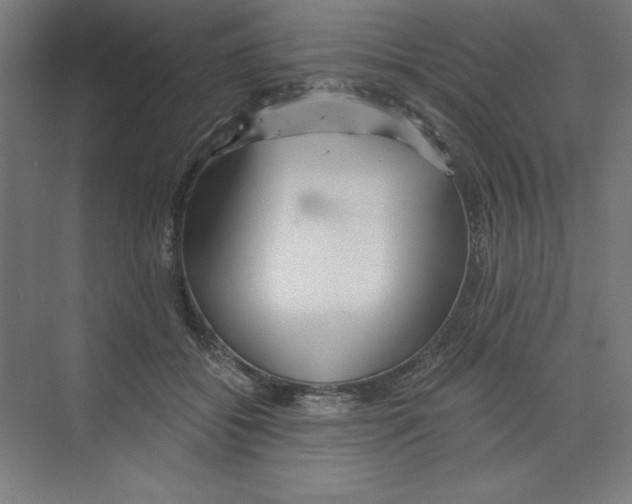 X0000068810556200606021554