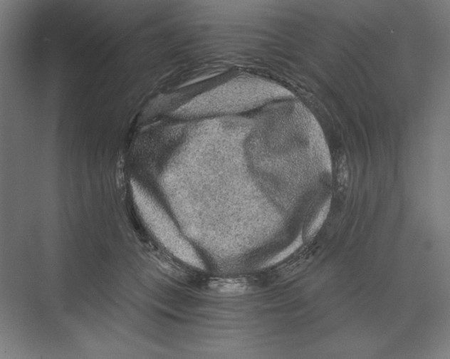 X0000068810559200606021554