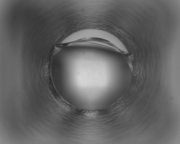 X0000068810560200606021554