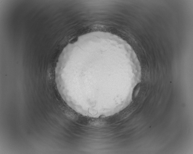 X0000068810561200606021554