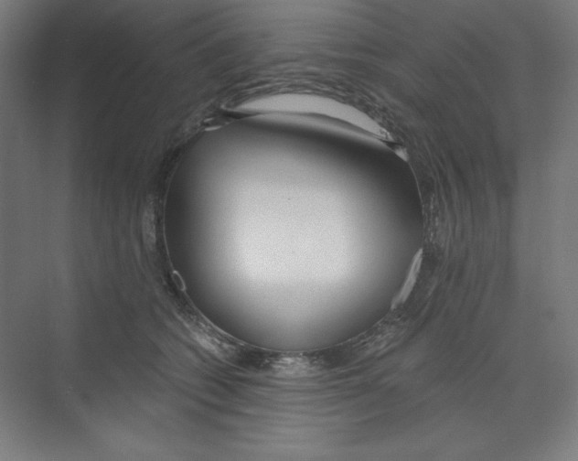 X0000068810562200606021554