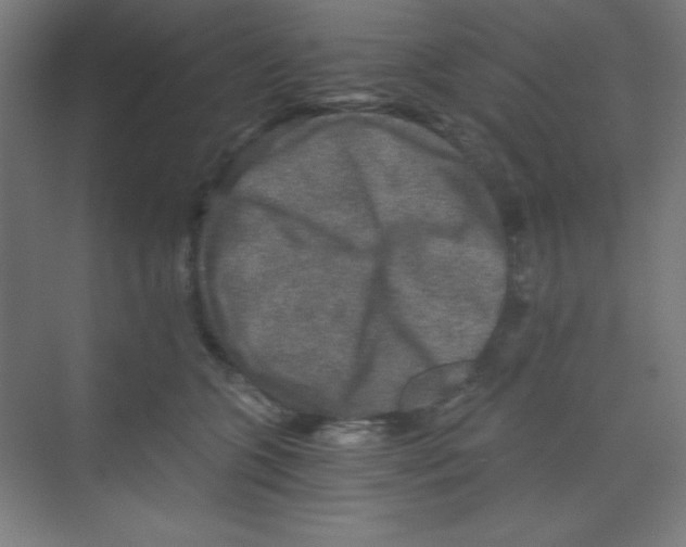 X0000068810563200606021554