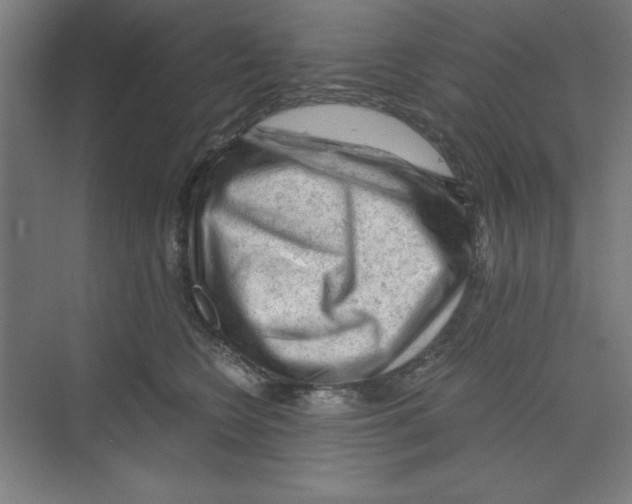 X0000068810566200606021554