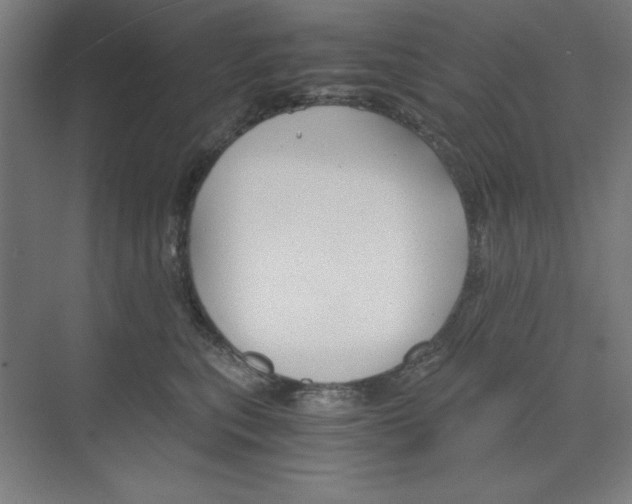 X0000068810567200606021554