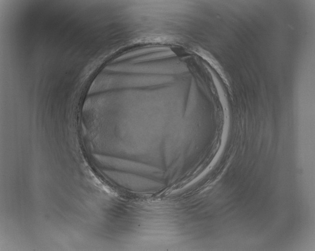 X0000068810577200606021553