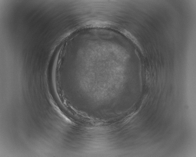 X0000068810581200606021553