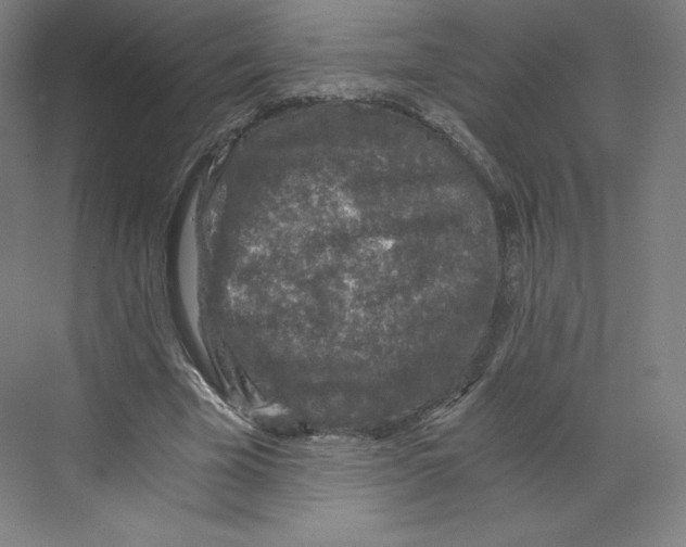 X0000068810585200606021553