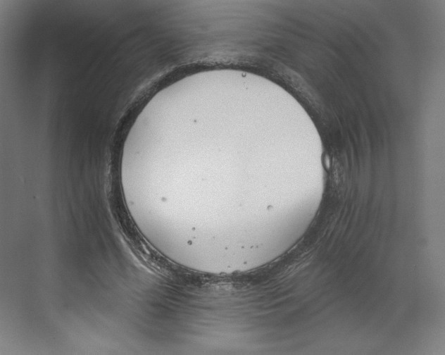 X0000068810588200606021553