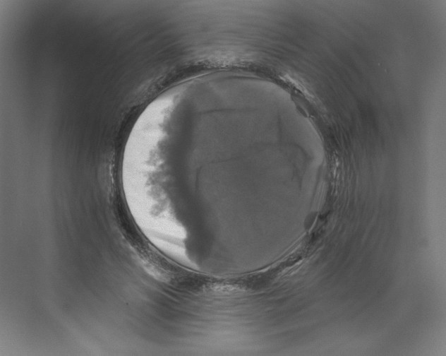 X0000068810590200606021553