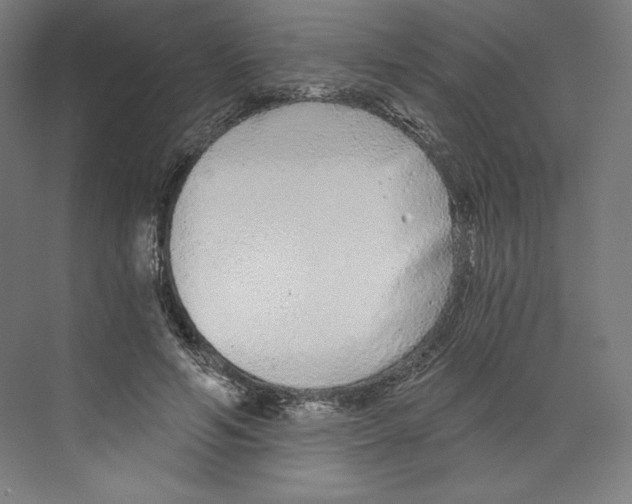X0000068810594200606021553
