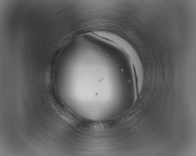 X0000068810600200606021553