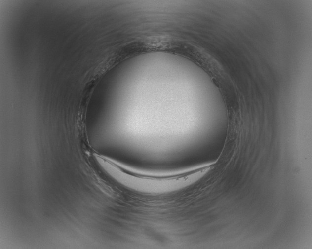 X0000068810601200606021553