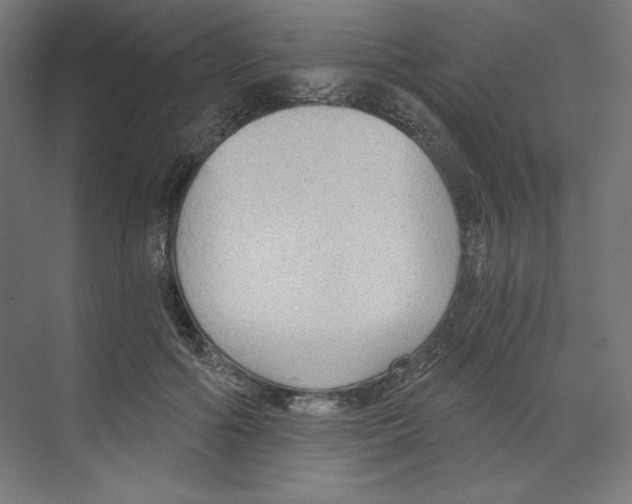 X0000068810602200606021553