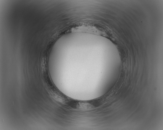 X0000068810605200606021553