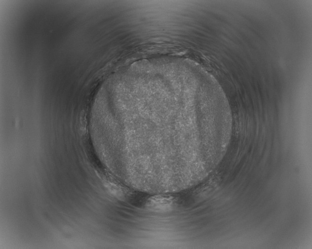 X0000068810606200606021553