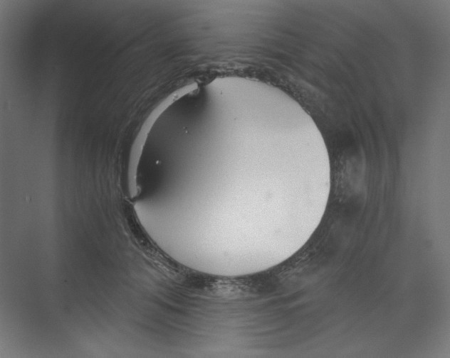 X0000068810608200606021553