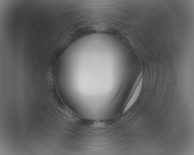 X0000068810609200606021553