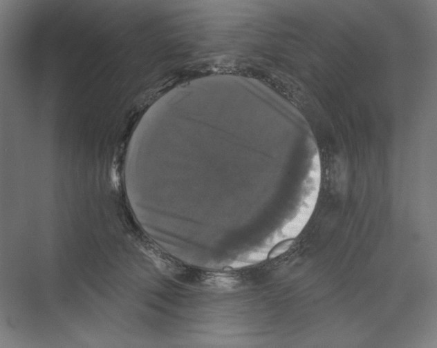 X0000068810610200606021553