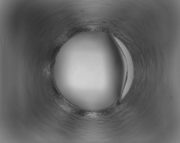 X0000068810611200606021553