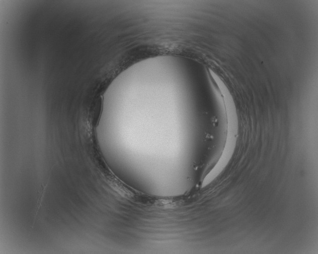 X0000068810613200606021553