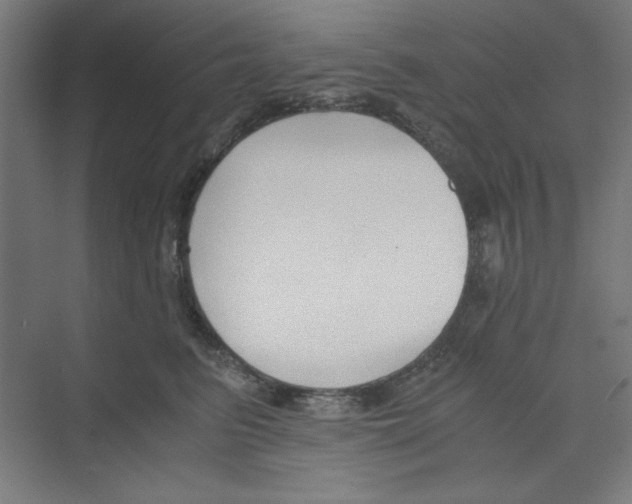 X0000068810615200606021553