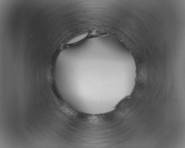 X0000068810616200606021553