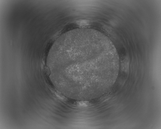 X0000068810618200606021552