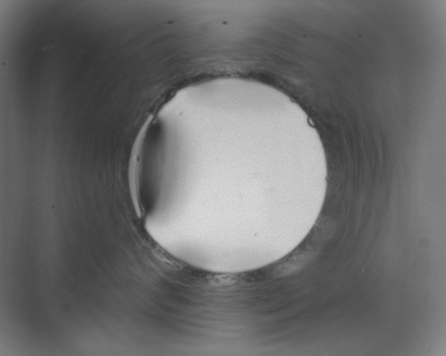 X0000068810624200606021552