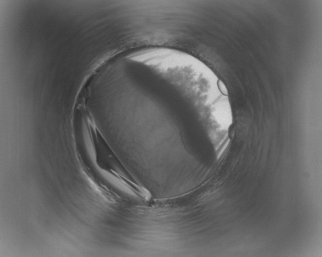 X0000068810626200606021552