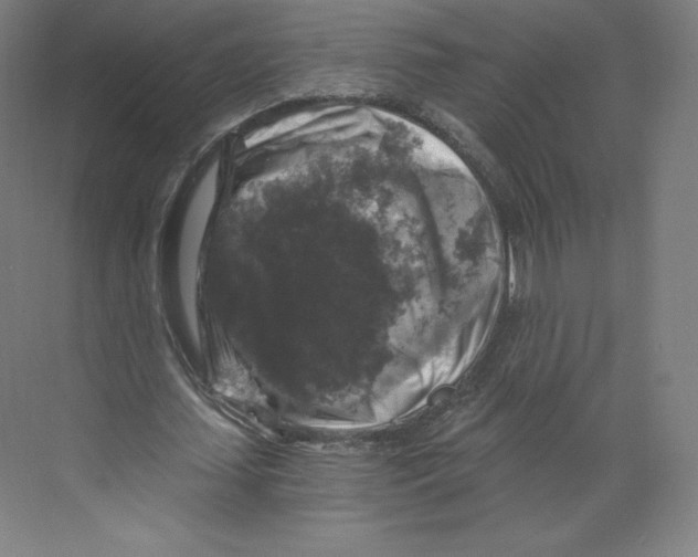 X0000068810627200606021552