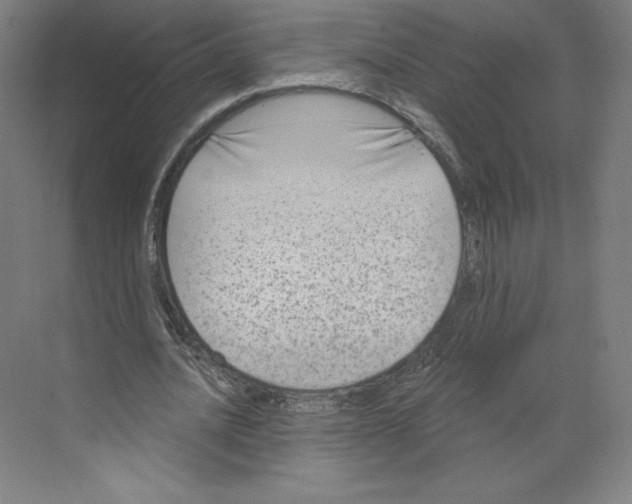 X0000068810628200606021552
