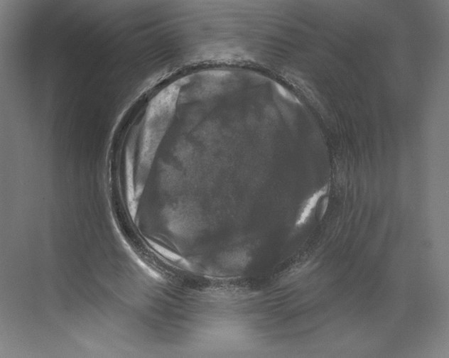 X0000068810630200606021552
