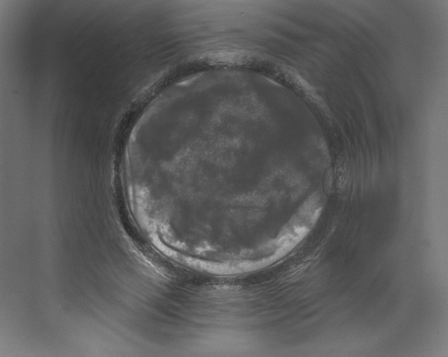 X0000068810637200606021552