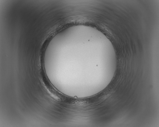 X0000068810638200606021552