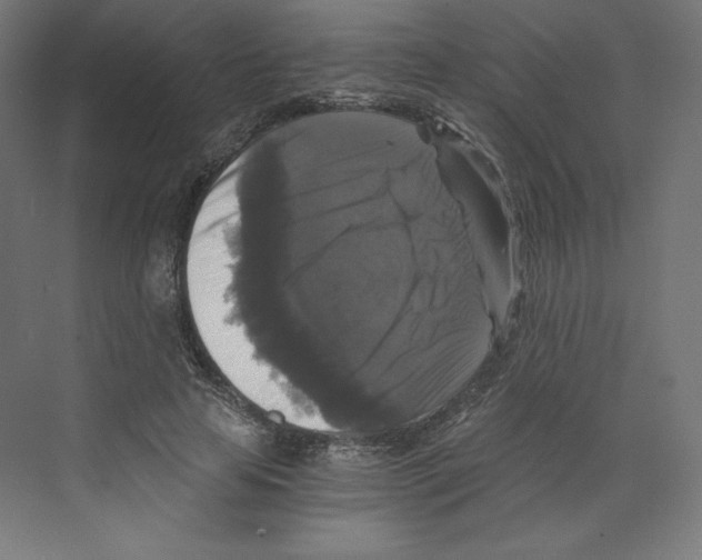 X0000068810641200606021552