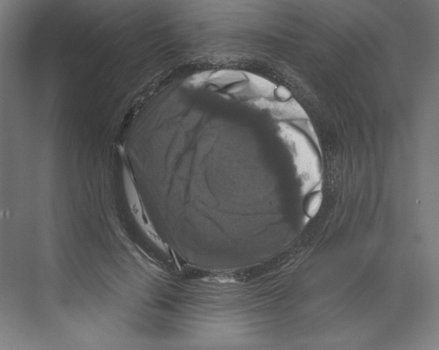 X0000068810644200606021552
