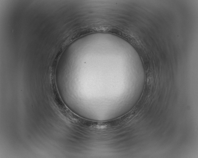 X0000068810647200606021552