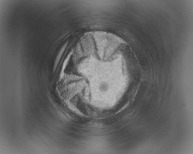 X0000068810648200606021552