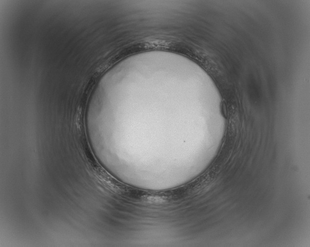 X0000068810649200606021552