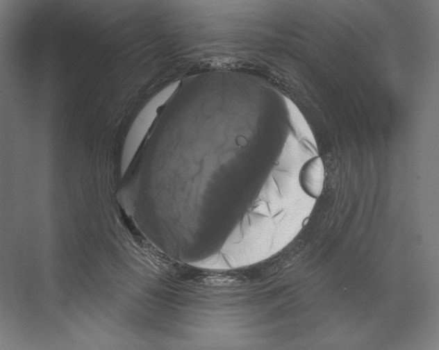 X0000068810650200606021552