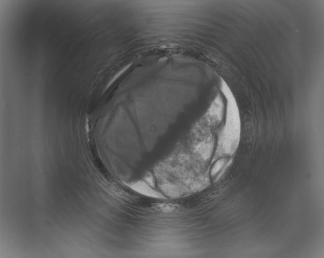 X0000068810654200606021552