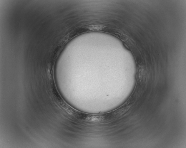 X0000068810655200606021552