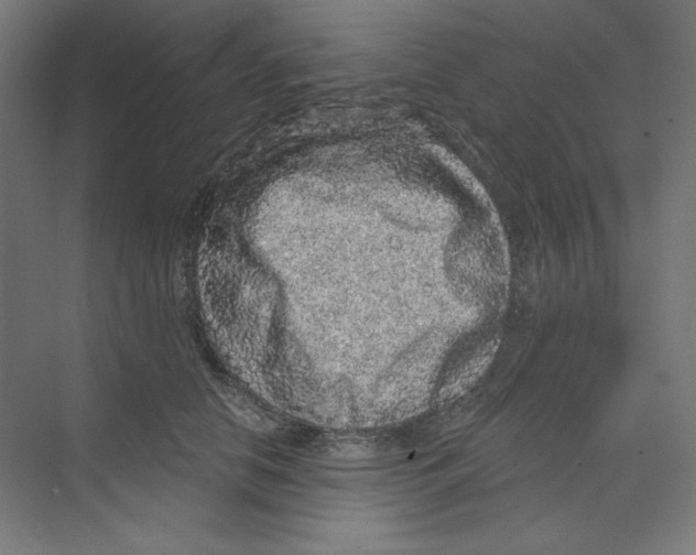 X0000068810658200606021552