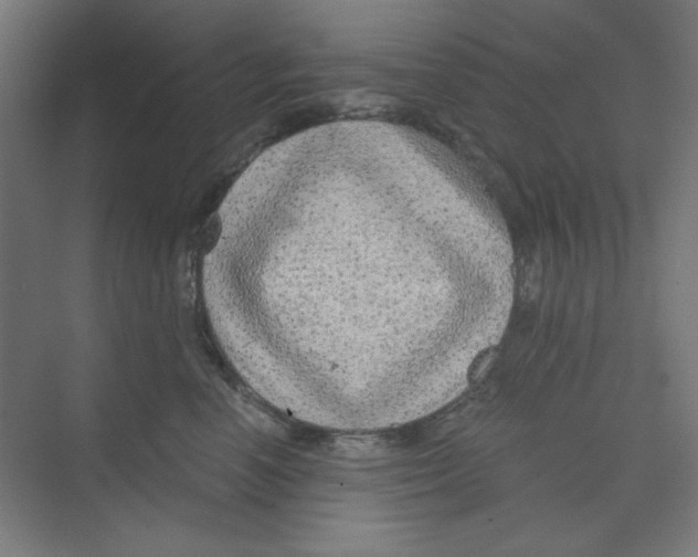X0000068810666200606021552