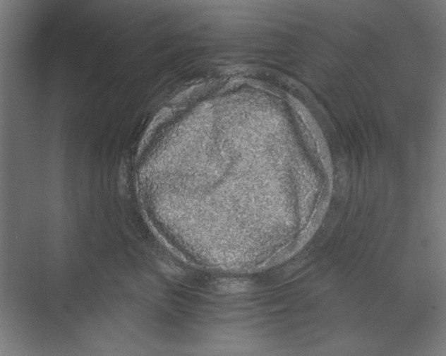 X0000068810667200606021552
