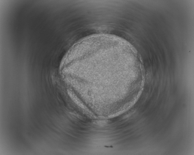 X0000068810671200606021552
