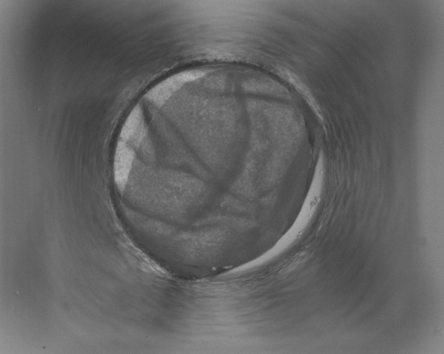 X0000068810673200606021552