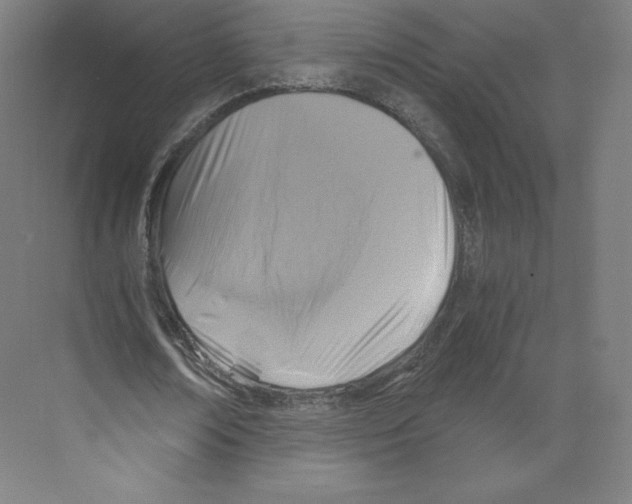 X0000068810674200606021552
