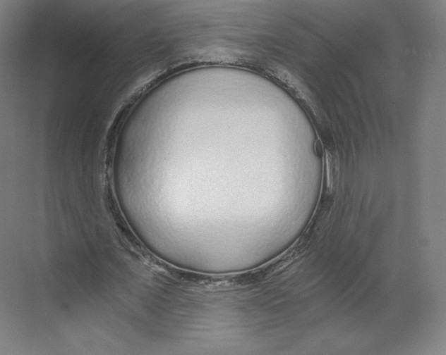 X0000068810675200606021552