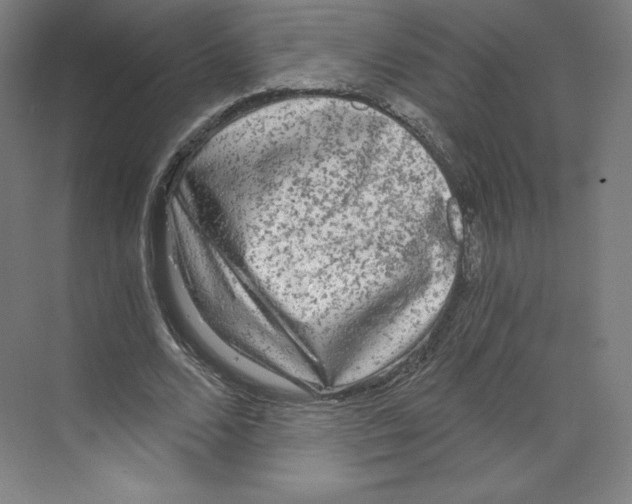 X0000068810680200606021551